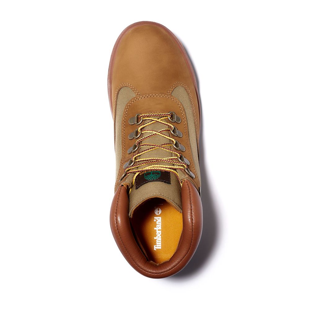 Zapatillas Timberland Hombre Waterproof Field Boots Marrones - Chile TSO-269587